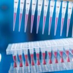 LAMP Assay: A Game-Changer in Molecular Diagnostics